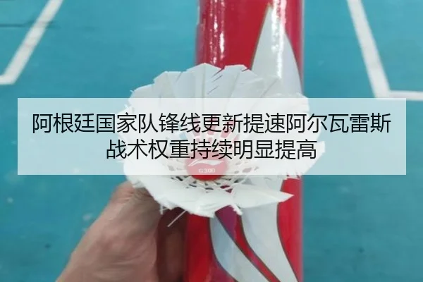 阿根廷国家队锋线更新提速阿尔瓦雷斯战术权重持续明显提高